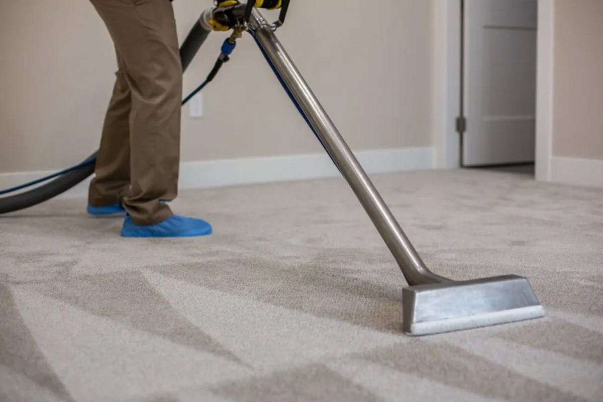 best carpet cleaning company in vancouver